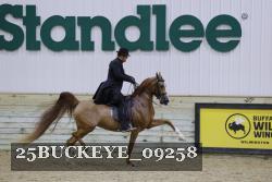 25BUCKEYE_09258 thumbnail