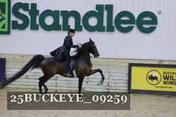 25BUCKEYE_09259 thumbnail