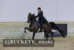 25BUCKEYE_09261 thumbnail