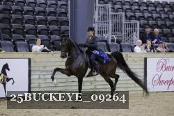 25BUCKEYE_09264 thumbnail