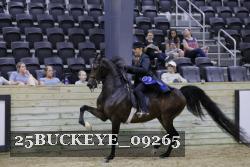 25BUCKEYE_09265 thumbnail