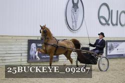 25BUCKEYE_09267 thumbnail