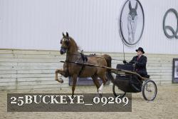 25BUCKEYE_09269 thumbnail
