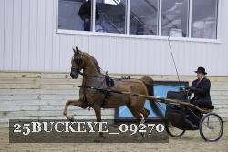 25BUCKEYE_09270 thumbnail