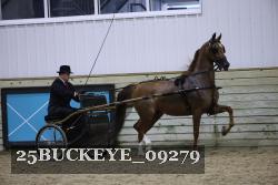 25BUCKEYE_09279 thumbnail