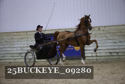 25BUCKEYE_09280 thumbnail
