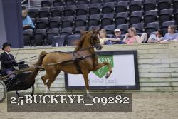 25BUCKEYE_09282 thumbnail