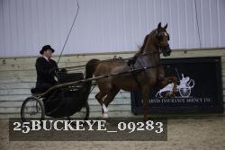 25BUCKEYE_09283 thumbnail