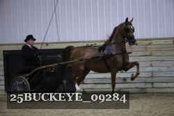 25BUCKEYE_09284 thumbnail