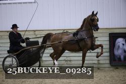 25BUCKEYE_09285 thumbnail