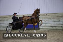 25BUCKEYE_09286 thumbnail