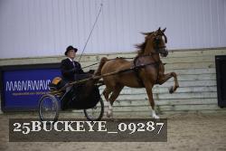 25BUCKEYE_09287 thumbnail