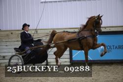 25BUCKEYE_09288 thumbnail