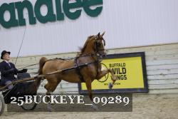 25BUCKEYE_09289 thumbnail