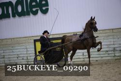 25BUCKEYE_09290 thumbnail