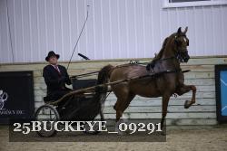 25BUCKEYE_09291 thumbnail
