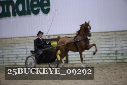 25BUCKEYE_09292 thumbnail
