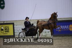 25BUCKEYE_09293 thumbnail