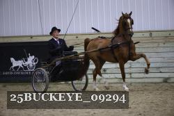 25BUCKEYE_09294 thumbnail