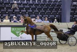 25BUCKEYE_09298 thumbnail