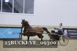 25BUCKEYE_09300 thumbnail