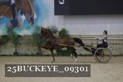 25BUCKEYE_09301 thumbnail