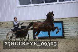 25BUCKEYE_09305 thumbnail