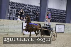 25BUCKEYE_09311 thumbnail