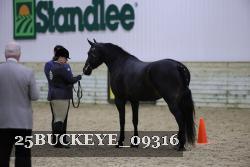 25BUCKEYE_09316 thumbnail