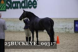 25BUCKEYE_09317 thumbnail
