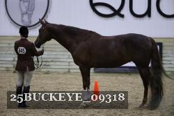 25BUCKEYE_09318 thumbnail