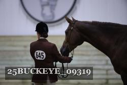 25BUCKEYE_09319 thumbnail