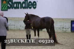 25BUCKEYE_09320 thumbnail