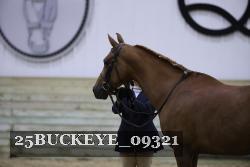 25BUCKEYE_09321 thumbnail