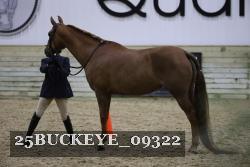 25BUCKEYE_09322 thumbnail