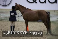 25BUCKEYE_09323 thumbnail