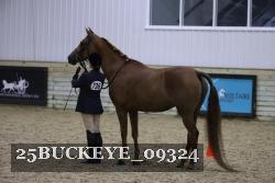 25BUCKEYE_09324 thumbnail