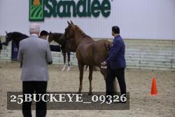 25BUCKEYE_09326 thumbnail