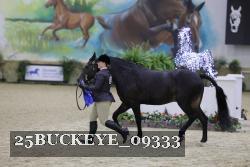 25BUCKEYE_09333 thumbnail