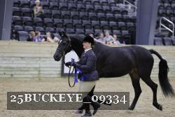 25BUCKEYE_09334 thumbnail
