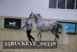 25BUCKEYE_09338 thumbnail