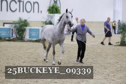 25BUCKEYE_09339 thumbnail