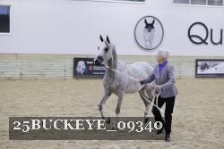 25BUCKEYE_09340 thumbnail