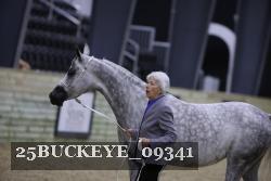 25BUCKEYE_09341 thumbnail