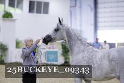 25BUCKEYE_09343 thumbnail