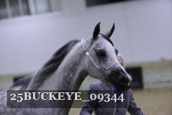 25BUCKEYE_09344 thumbnail