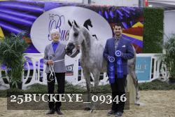25BUCKEYE_09346 thumbnail