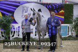 25BUCKEYE_09347 thumbnail