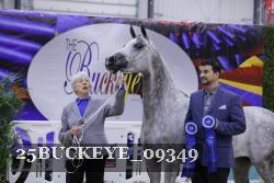 25BUCKEYE_09349 thumbnail