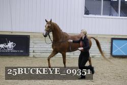 25BUCKEYE_09351 thumbnail